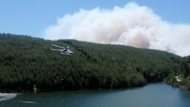 Manisa'da orman yangını